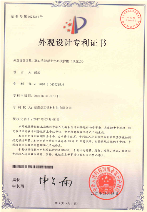 072615164970_0支護(hù)樁外觀設(shè)計(jì)_1_副本.png